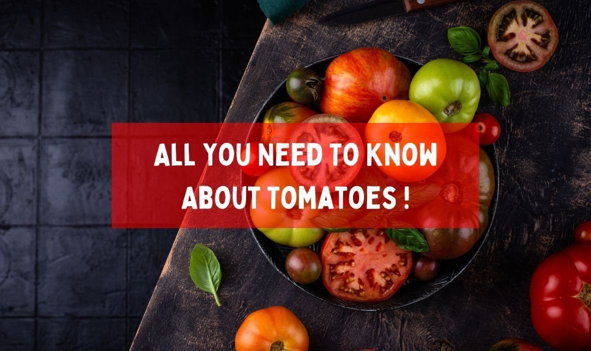 All You Need To Know About Tomatoes.