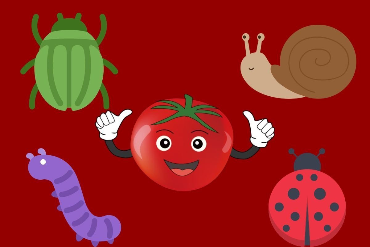Beneficial Bugs that Help Tomato Plants Grow