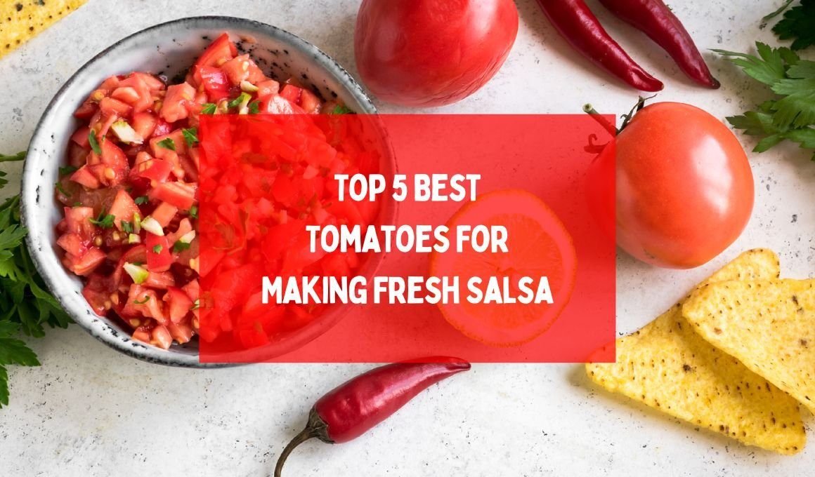 Top 5 Best Tomatoes For Making Fresh Salsa