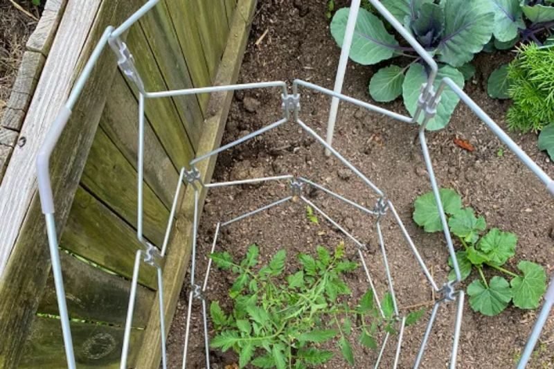 DIY Tomato Plant Support Frame