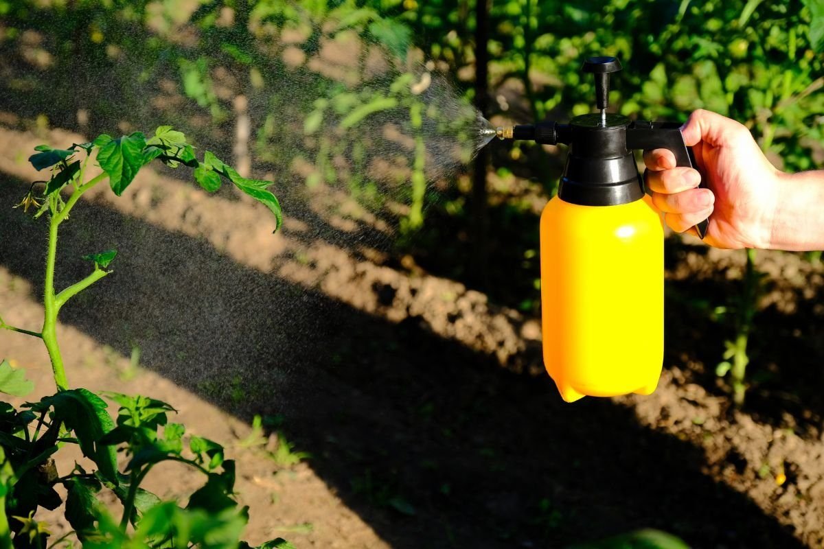 Fertilizing for Optimal Nutrition