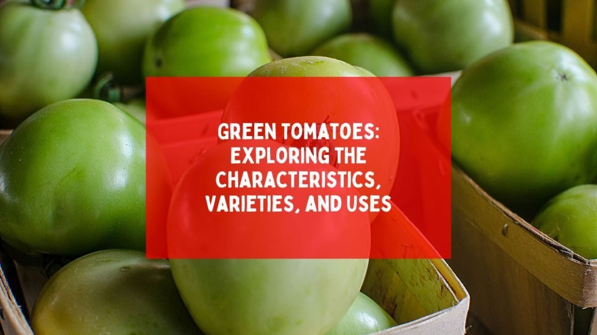 Green tomatoes, both ripe green varieties and unripe fruit