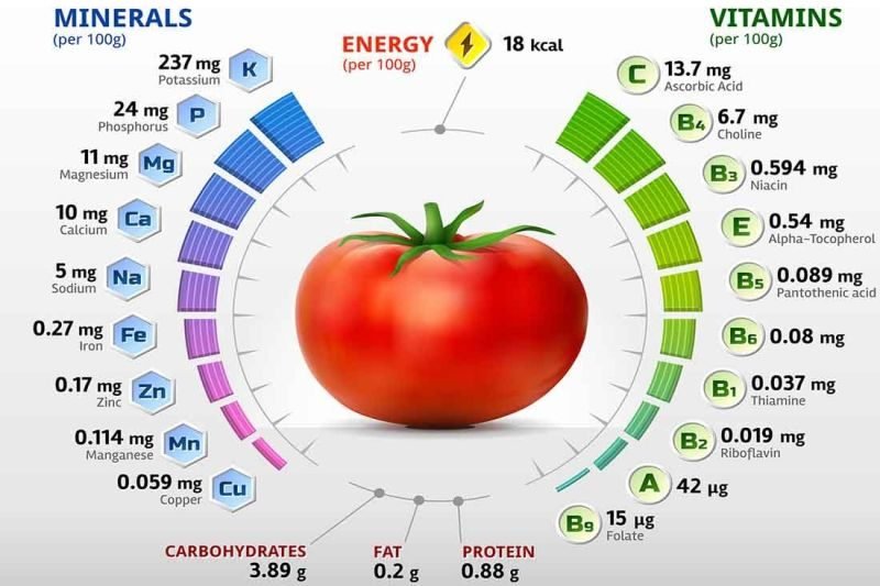 Tomato Nutrition: The Key to a Healthy Diet