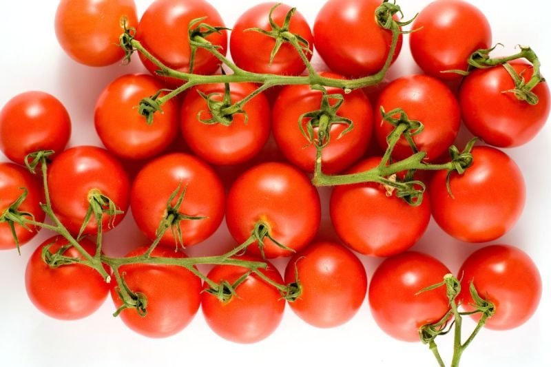 What are Campari tomatoes