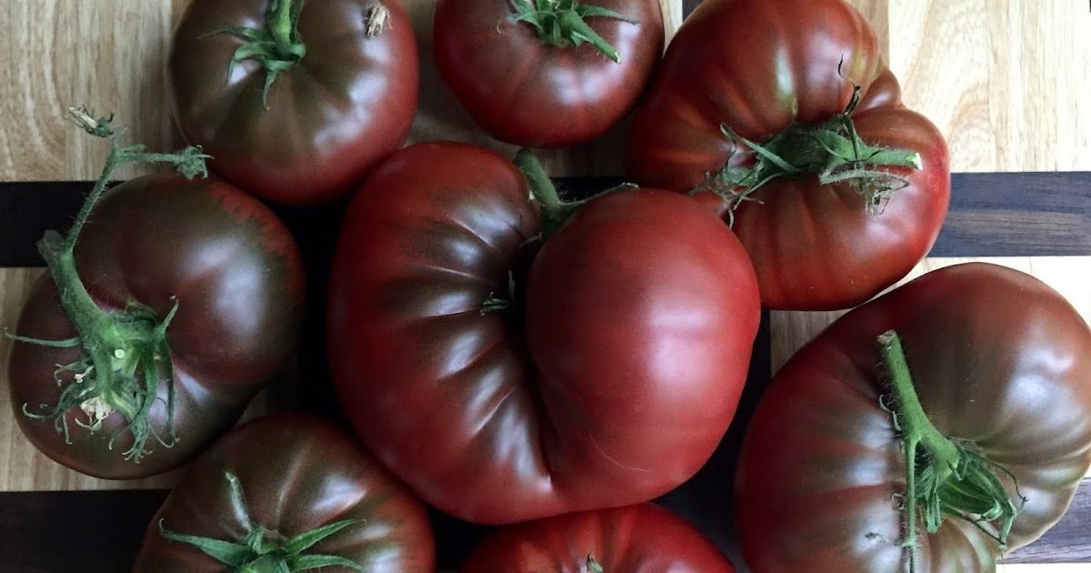 Black Krim tomatoes are good or more production.