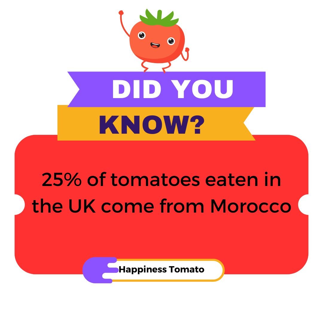 25% of tomatoes eaten in the UK come from Morocco
