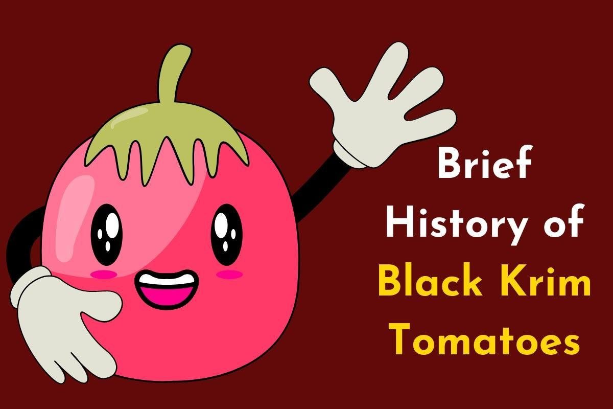C:\Users\Mohsin\Downloads\Brief History of Black Krim Tomatoes.jpg