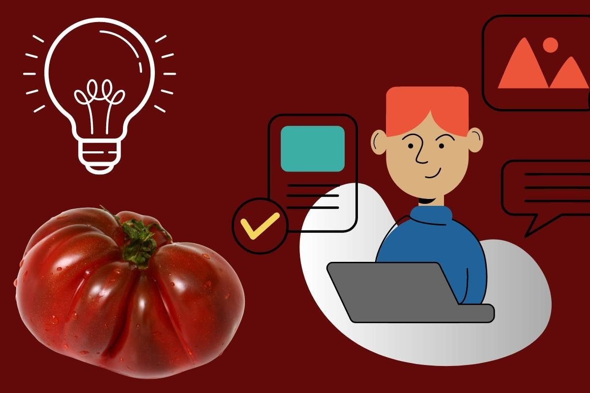 C:\Users\Mohsin\Downloads\tomato-quik-facts.jpg