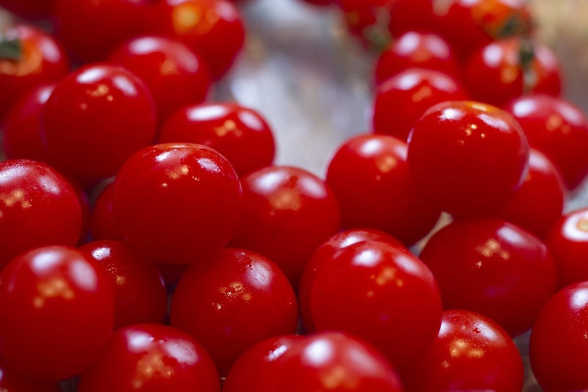 cherry tomatoes are used for salsa because they don't have seeds and have rich flavor.