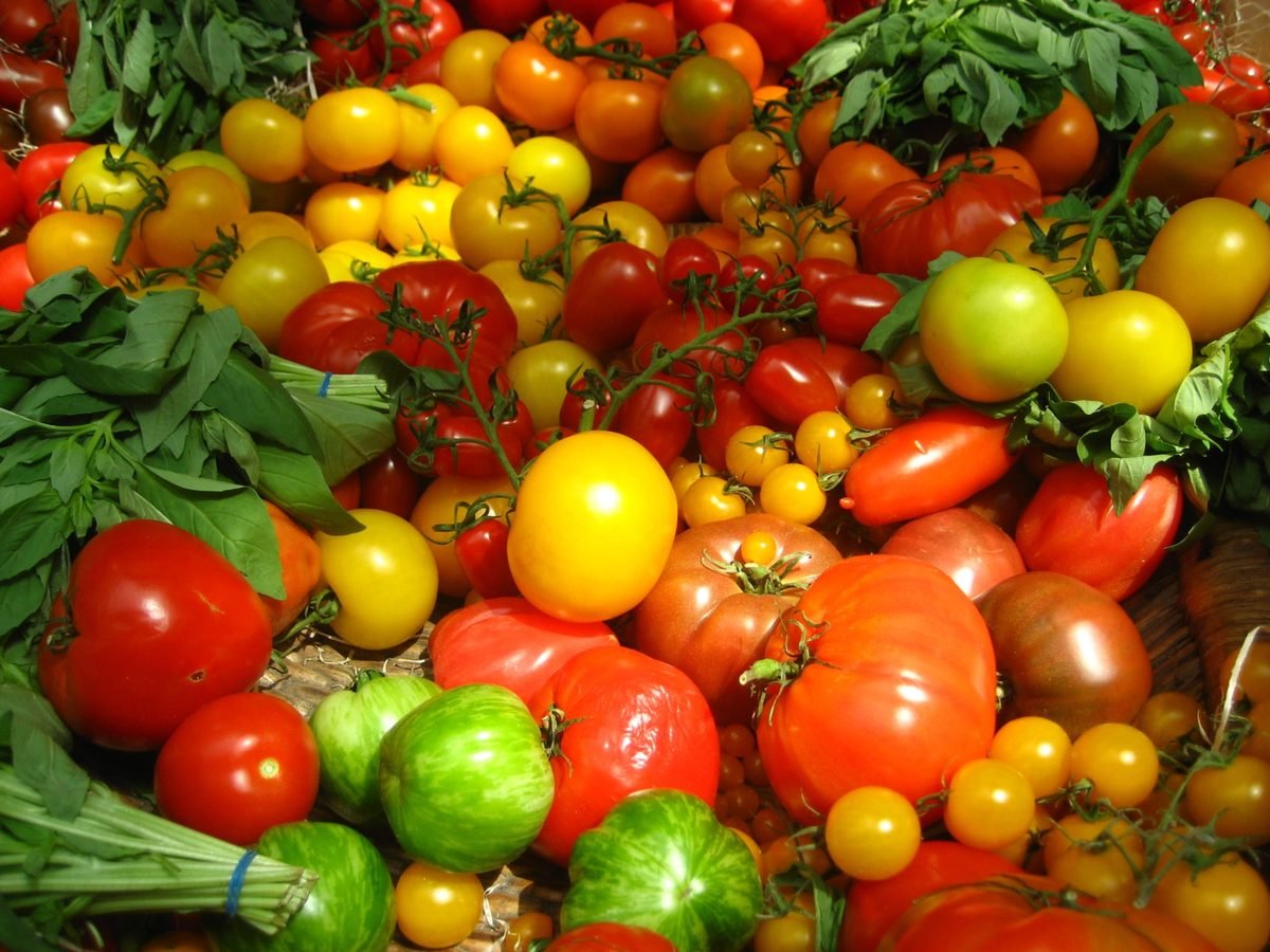 Choose the best quality of tomatoes for not to have green shoulders.