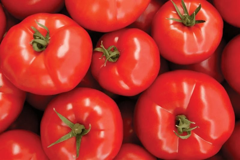 Healthy tomatoes
