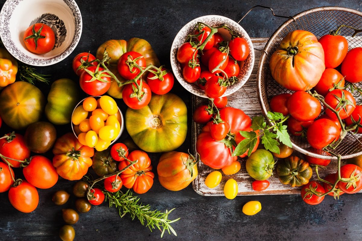 use different types of tomatoes varieties to get more growth