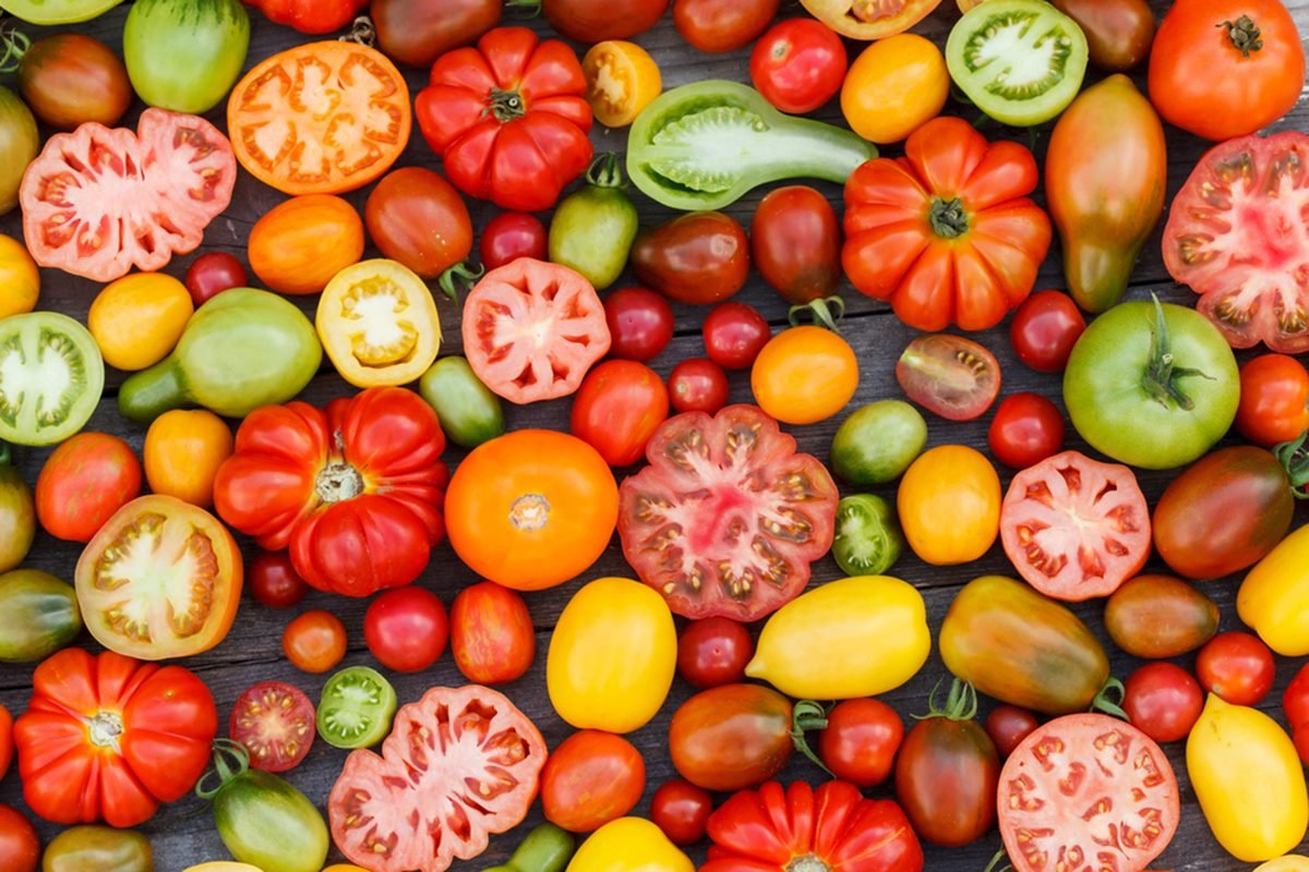 use the variety of tomato which is suitable for indoor plantation.