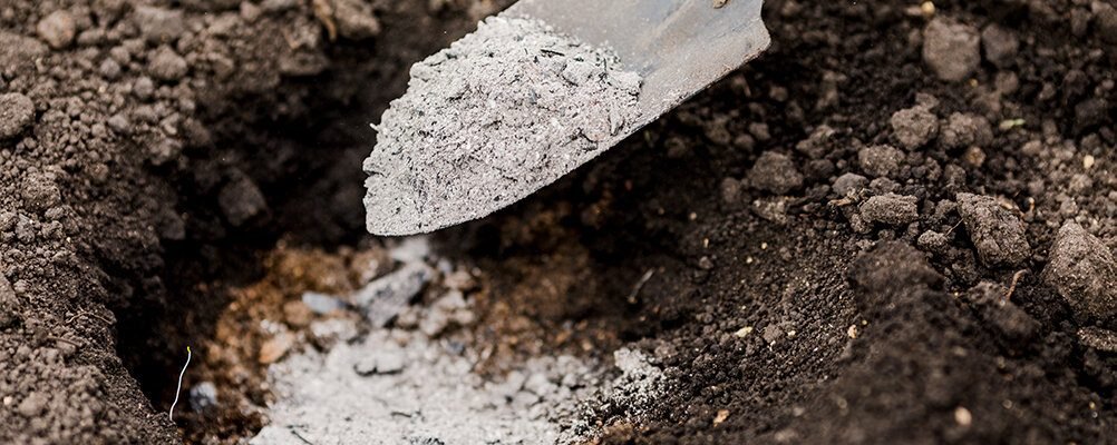 use wood ash in soil o tomato plants.