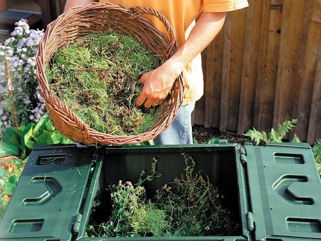 What is composting of tomatoes? How to compost while knowing the risks?