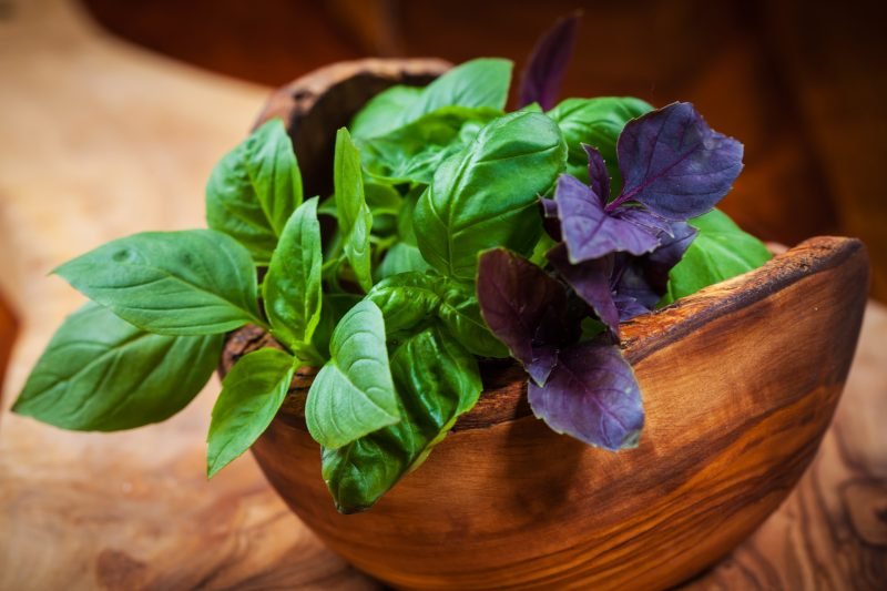 basil