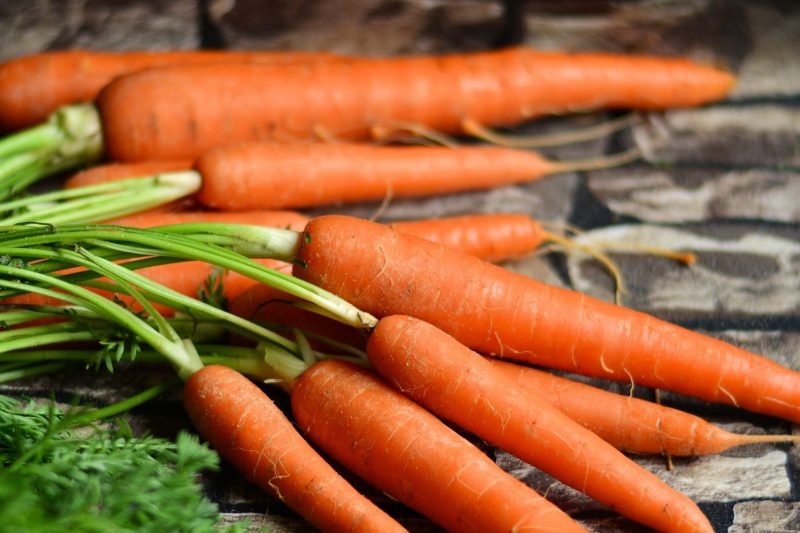 Carrot