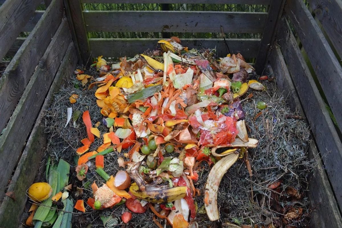 right compost