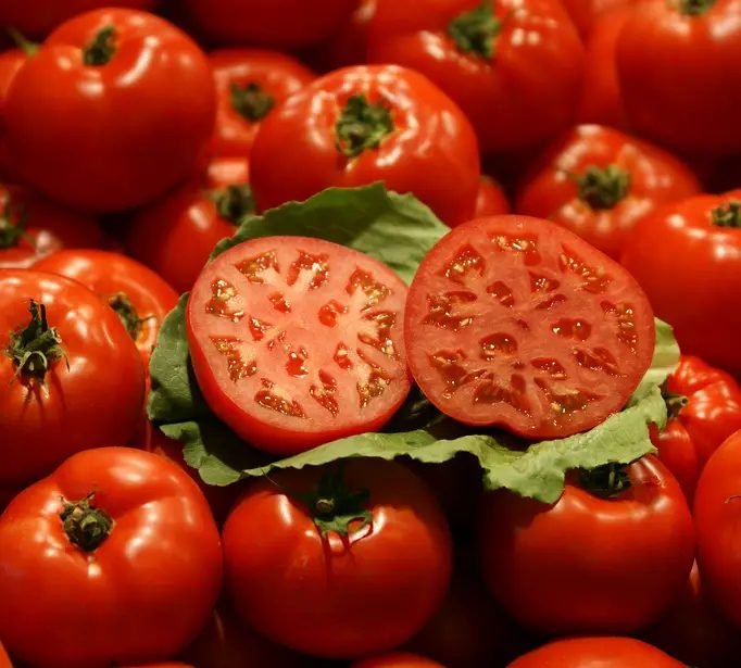 tomatoes