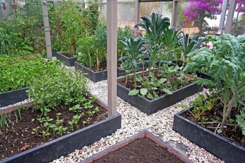 How to build a good raised bed