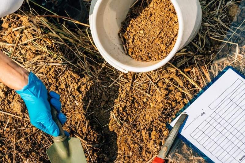Picking the right soil