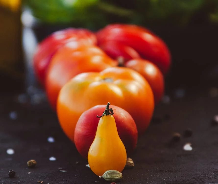 Growing Tomatoes in Small Spaces: 6 Best Varieties to Try