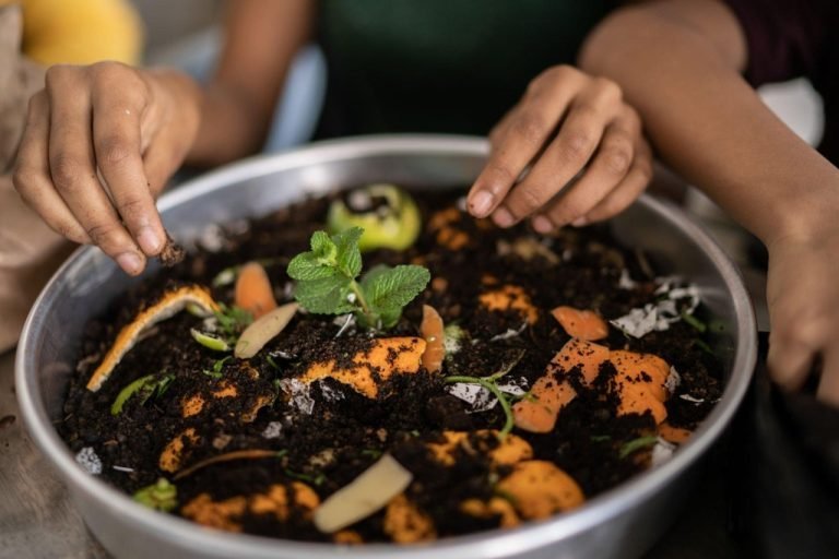 5 Best Mulches For Tomatoes: When and How to Mulch?