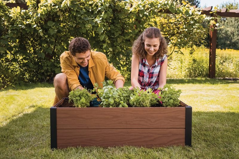 Can you plant tomatoes and potatoes together? Let’s find out.