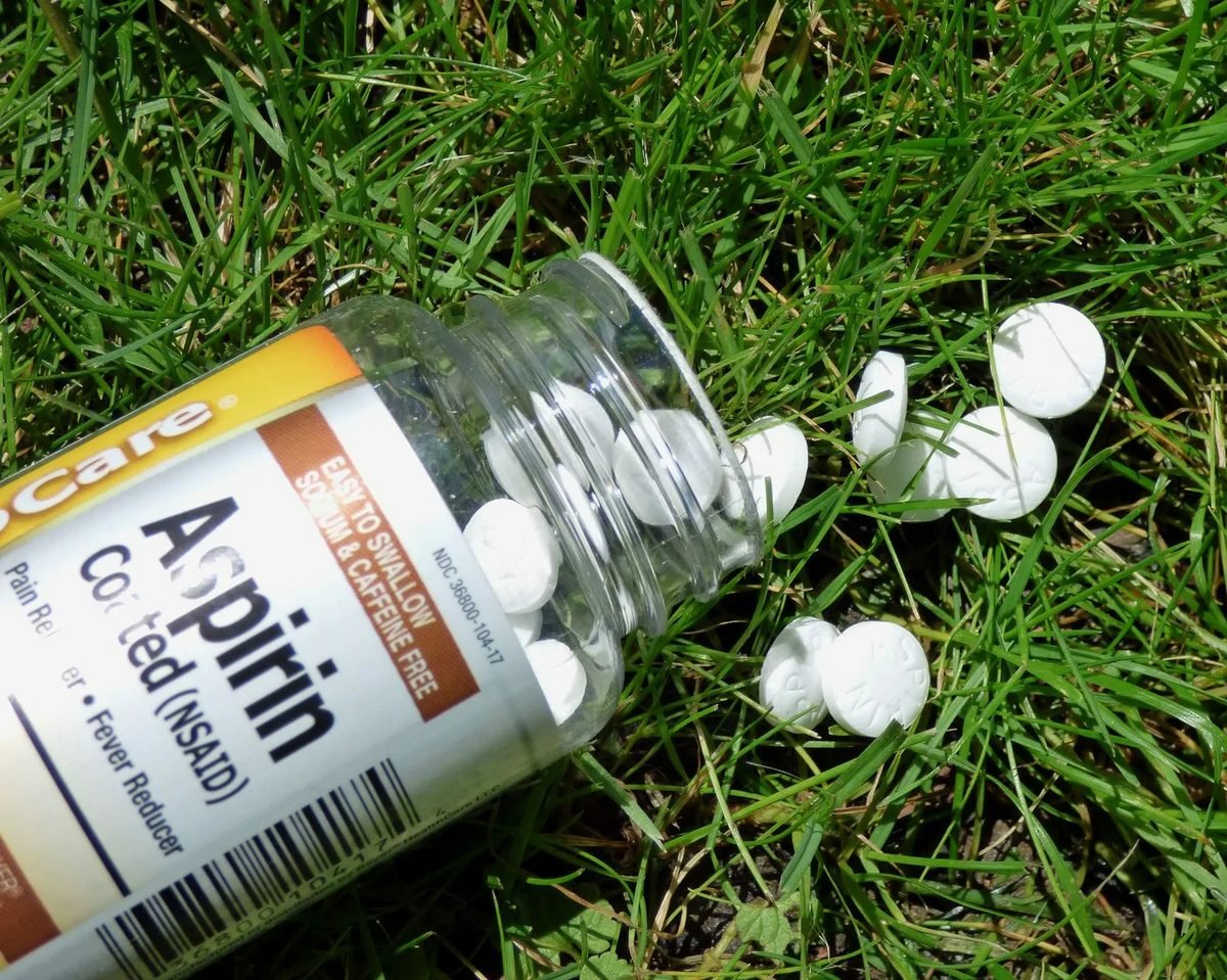 Does aspirin help tomato plants grow? Fiction and reality about aspirin to tomatoes