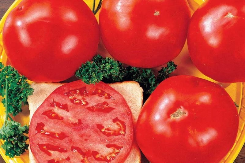 Celebrity Tomatoes