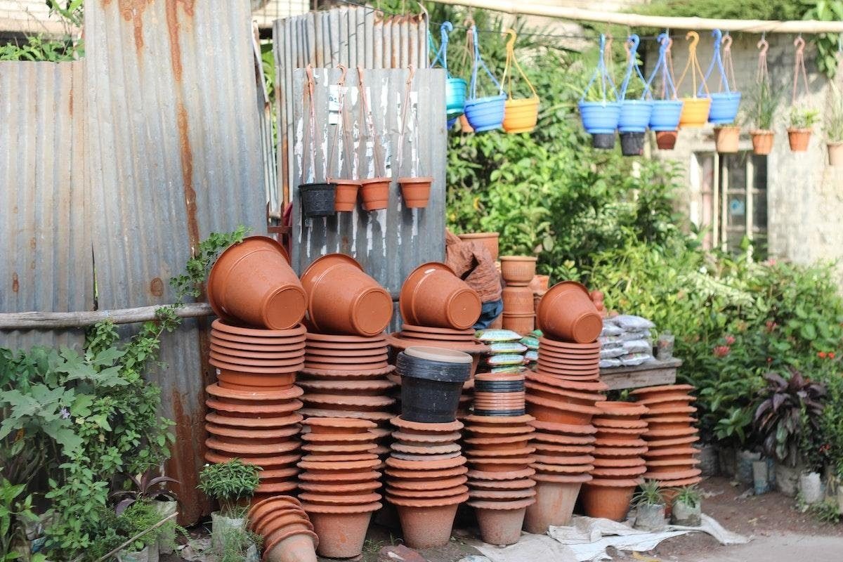 How Big Of A Pot For Tomatoes? Ideal Container Size For Tomato Plants