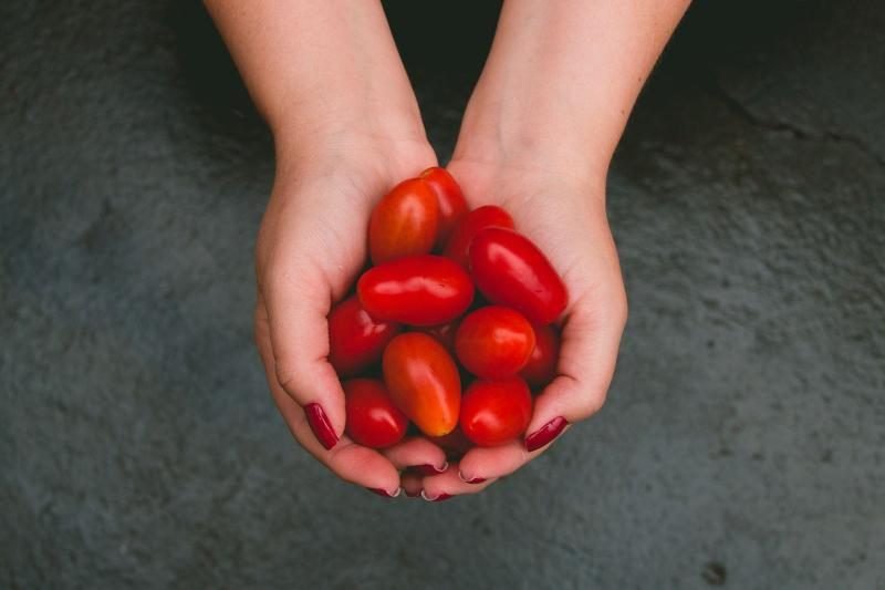 Hybrid or Heirloom Tomatoes? Which of These Two Types Is better?