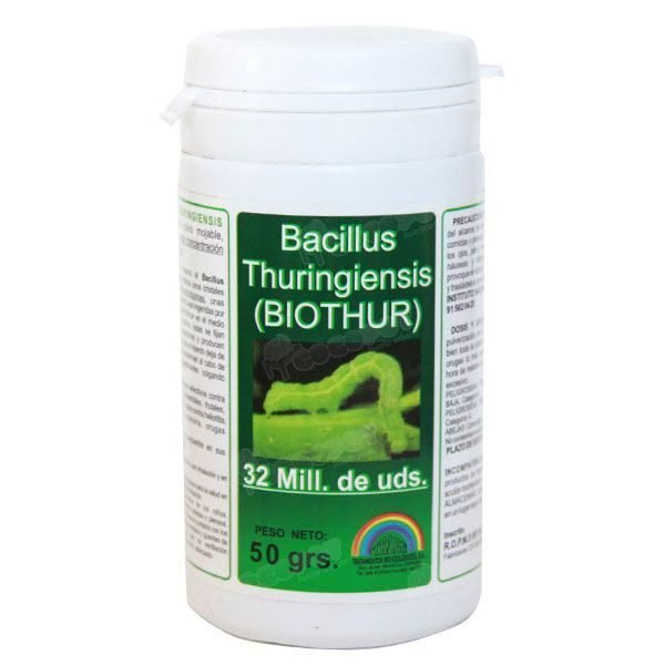 What Are Hornworms? How To Get Rid Of Tomato Hornworms?