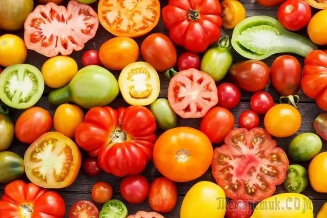 Grow healthy tomatoes from the nursery
