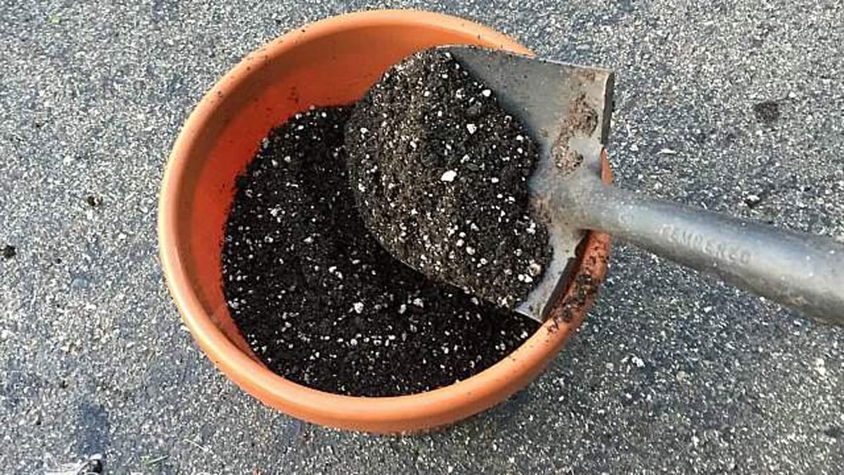 Making a quality potting mixture for your tomato plants.